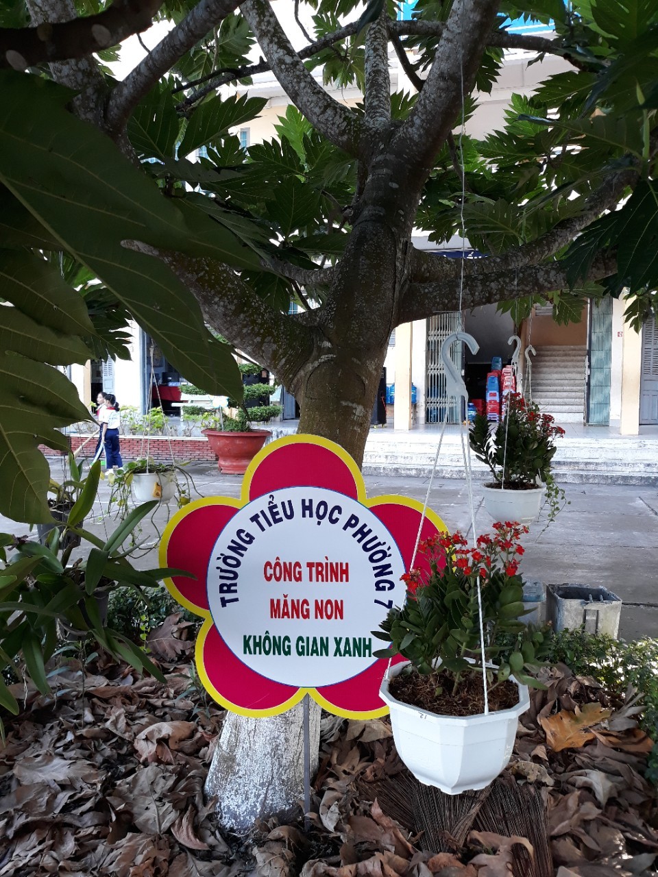 Sân trường em xanh - sạch - đẹp